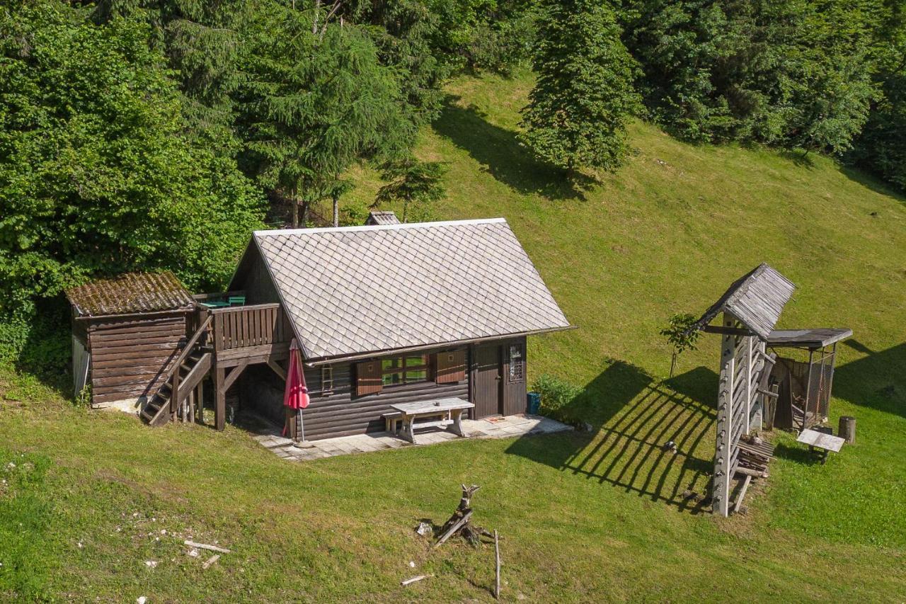 Cottage House Podgosar Bled Pokljuka Buitenkant foto